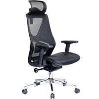 Ghế công thái học The One GLE06