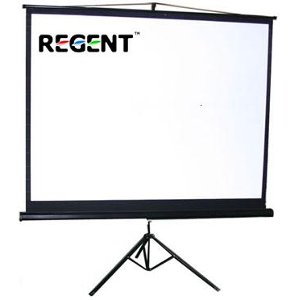 Màn chiếu chân đứng 96” x 96” EA-96T