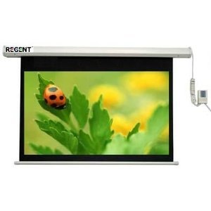 Màn chiếu điều khiển từ xa Regent 84” x 84” ELS 220 (2m13 x 2m13)