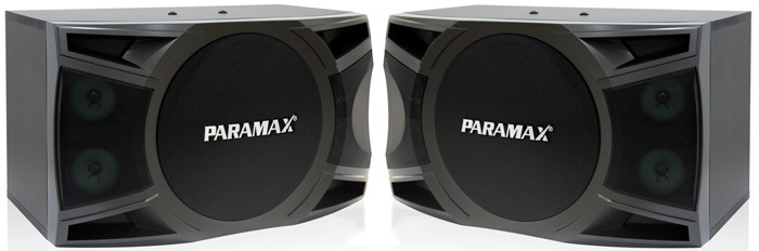 Loa karaoke Paramax P1000