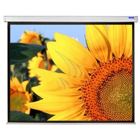 Màn chiếu treo tường Dalite P70WS 70 x 70 inch