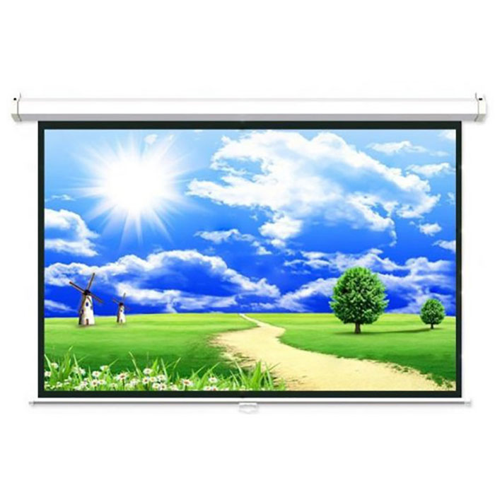 Màn chiếu điện Dalite CN-D170/P170ES 170 inch (120 x 120 inch)