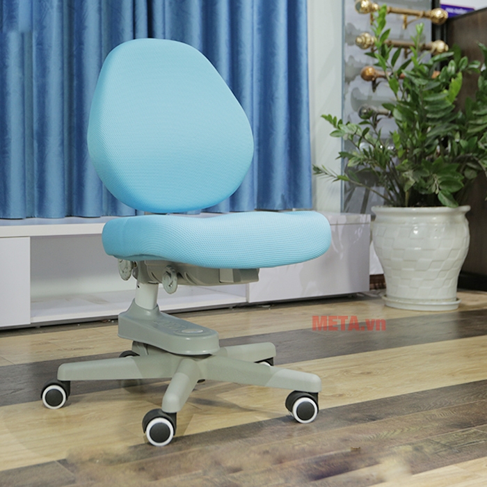 Ghế chống gù Bsuc