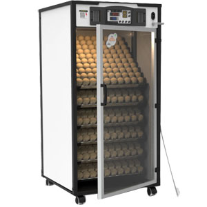 Máy ấp trứng LIN Delta H6 (600 trứng)