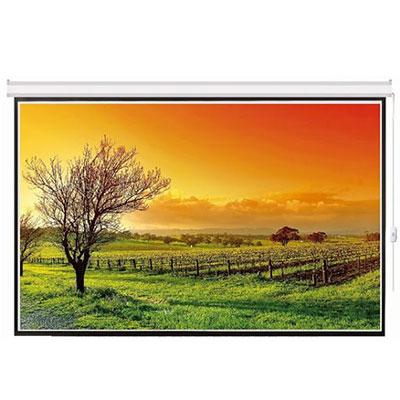 Màn chiếu điện điều khiển từ xa Dalite PW200ES 200 inch (160 inch x 120 inch)