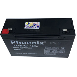 Ắc quy Phoenix 6V 12AH TS6120