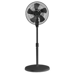 Quạt cây công nghiệp Thái Lan Hatari IP18M1