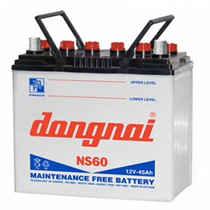 Ắc quy Đồng Nai NS60LS (12V, 45Ah)