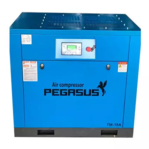 Máy nén khí trục vít Pegasus TMPM30HP (TMPM30A) 22kW