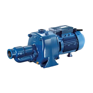 Máy bơm nước Pentax CAB-300 3HP