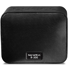 Loa di động SoundMax R-300