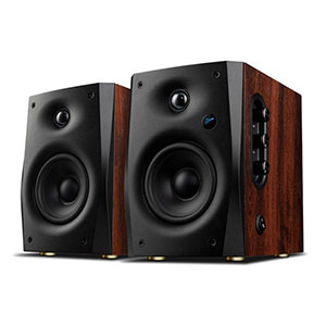 Loa HIVI SWAN D1100
