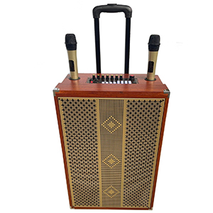 Loa kéo karaoke 4 tấc Ladomax K-S412