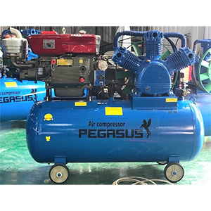 Máy nén khí sử dụng dầu diesel Pegasus TM-W-2.0/8