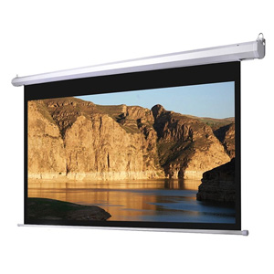 Màn chiếu điện điều khiển từ xa Dalite PW180ES/CN-D180 180 inch