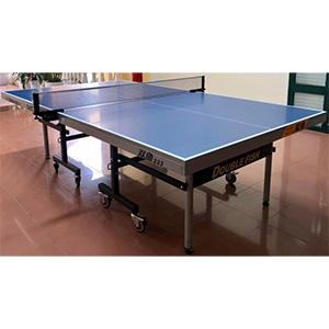 Bàn bóng bàn Double Fish DF-233