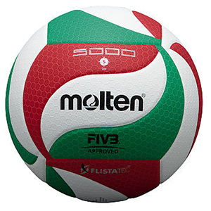 Bóng chuyền Molten V5M5000