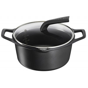 Nồi đúc cao cấp Tefal Robusto 24cm (E2494644)