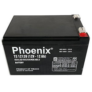 Ắc quy Phoenix 12V-12Ah TS12120