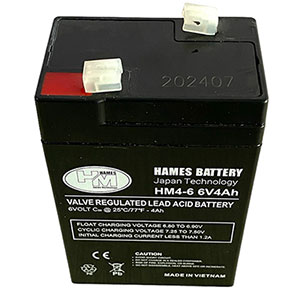 Ắc quy kín khí AGM Hames 6V 4Ah HM4-6