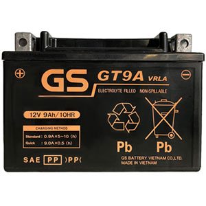 Ắc quy khô xe máy GS GT9A (12V - 9Ah)