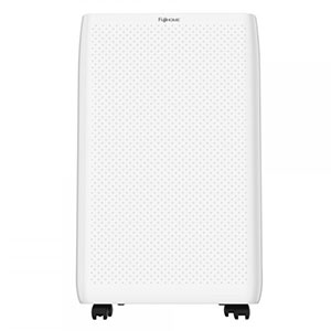 Máy hút ẩm dân dụng Fujihome DH18W
