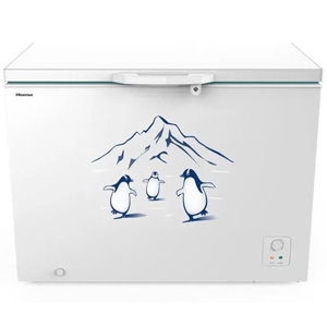 Tủ đông Hisense 300 lít FC380D4EWC1