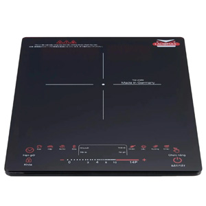 Bếp điện từ cao cấp Ladomax HA-668