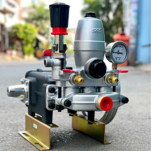 Đầu phun xịt áp lực Dewoo DW645AF (piston sứ)