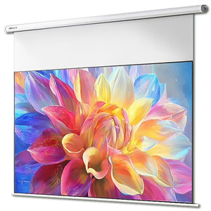 Màn chiếu điện JMGO 100inch