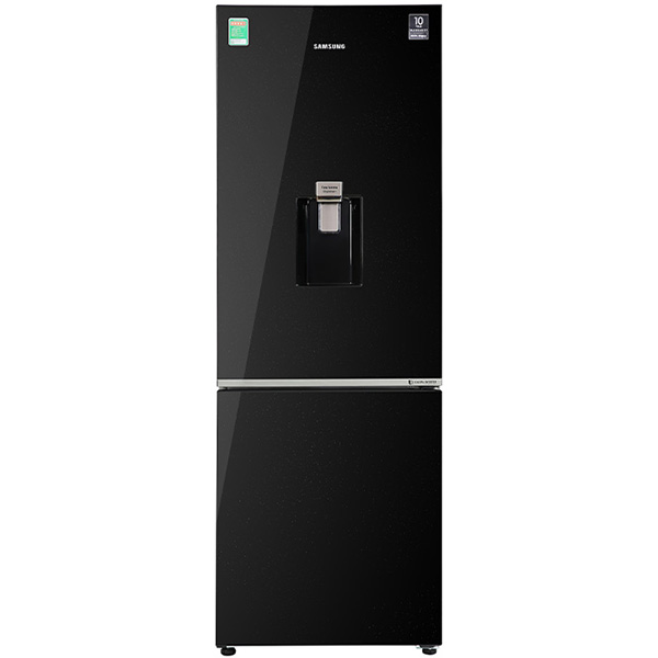 Tủ lạnh Samsung Inverter 307 lít RB30N4190BU/SV