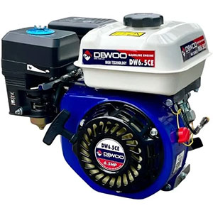 Đầu nổ Dewoo DW200CE 6.5HP
