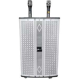 Loa di động karaoke Microtek MTK-300
