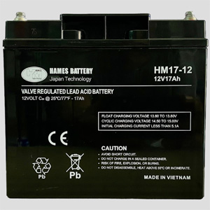 Ắc quy 12V 17Ah Hames HM17-12
