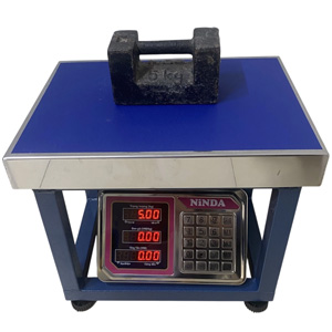 Cân ghế điện tử Ninda AD6-150