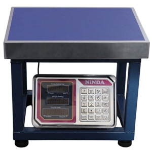 Cân ghế điện tử Ninda AD6-300