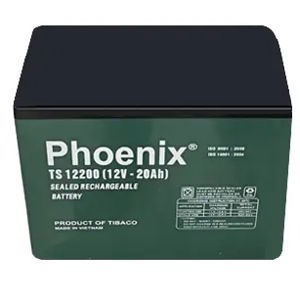 Ắc quy Phoenix TS12200 (12V - 20AH)