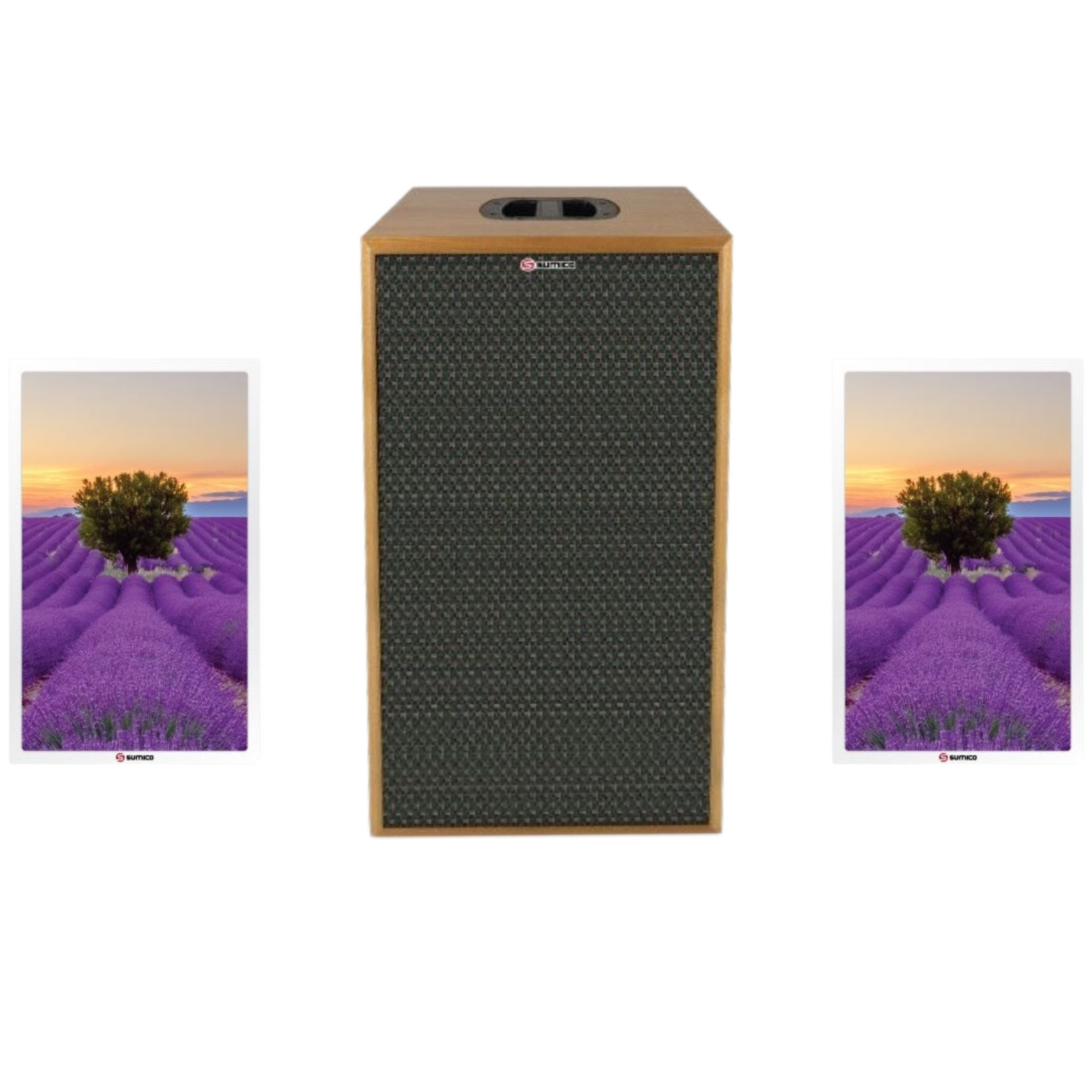 Loa tranh Sumico Canvas 1008