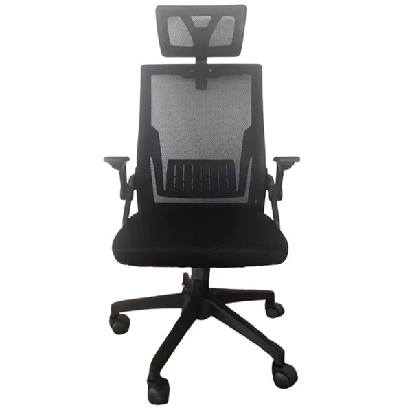 Ghế công thái học E-DRA EEC218