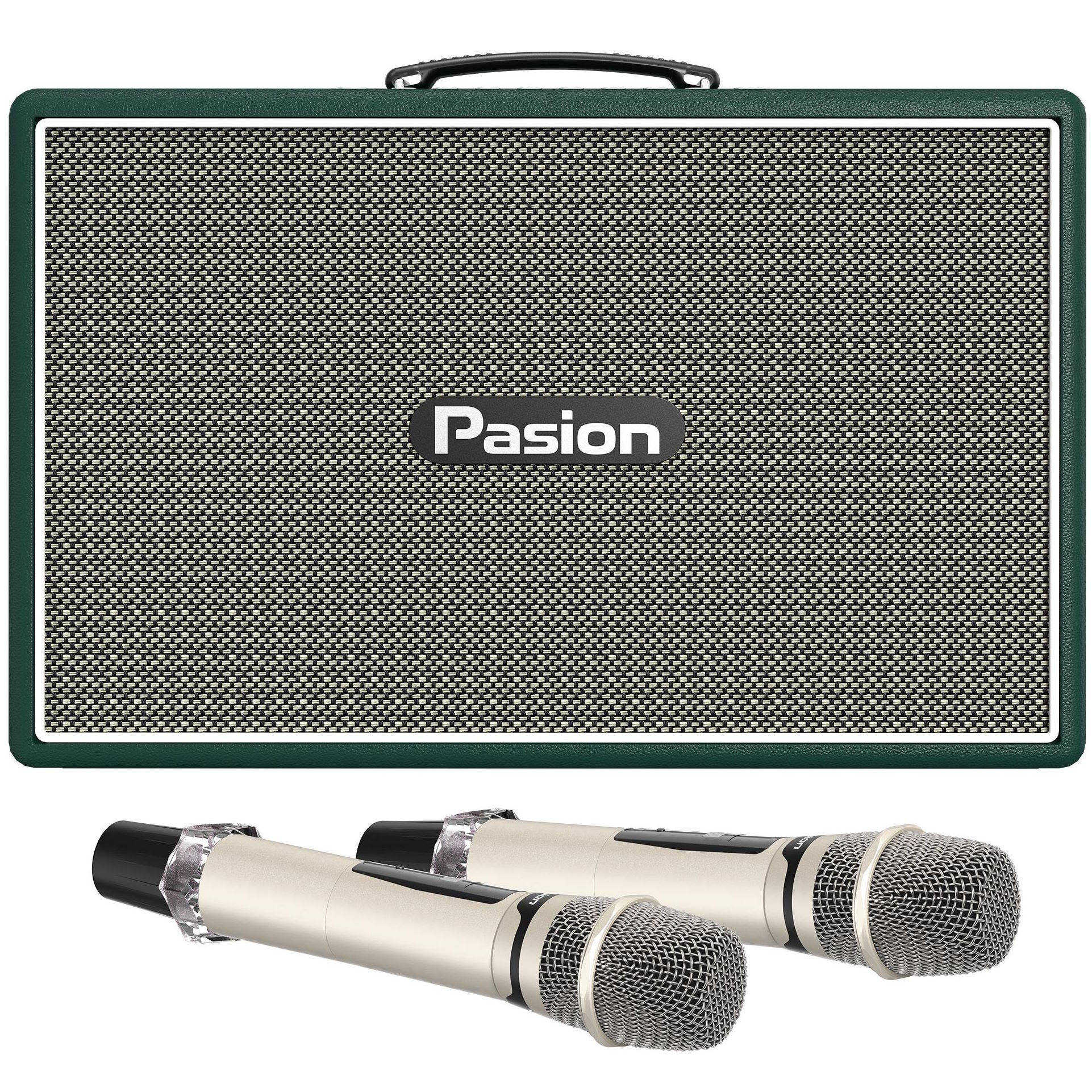 Loa Paramax Pasion Outro (300W, kèm 2 Micro)