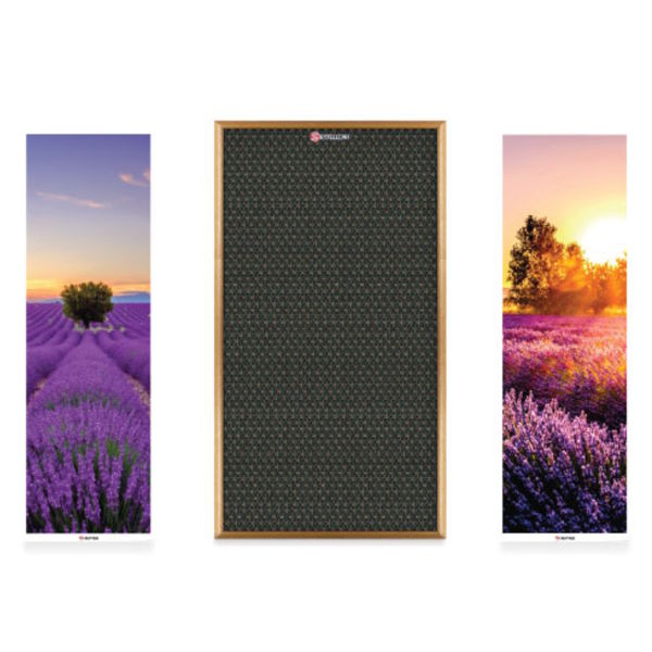 Loa tranh Sumico Canvas 1216