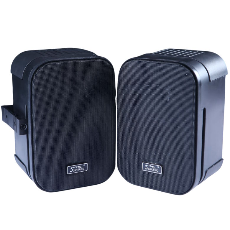 Loa hộp Soundking Control 252