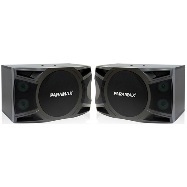 Loa karaoke Paramax P1000