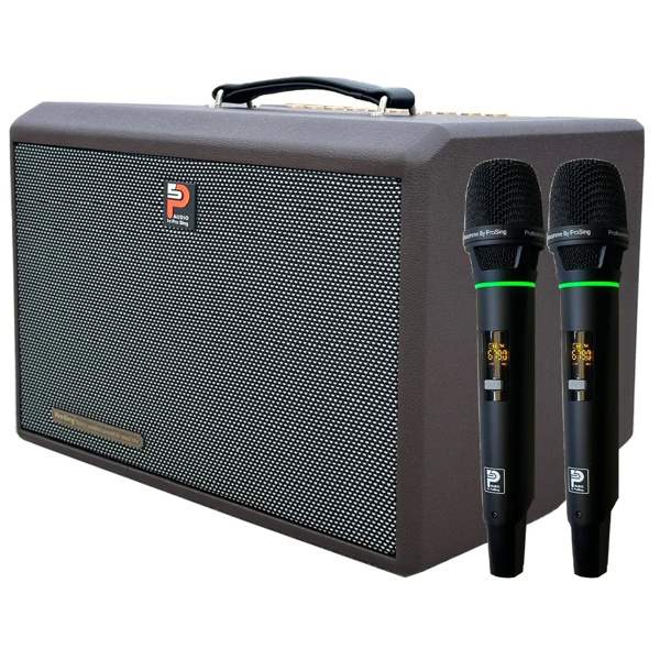 Loa xách tay Prosing DSP-236X (Bass 20cm, Bluetooth 5.0)