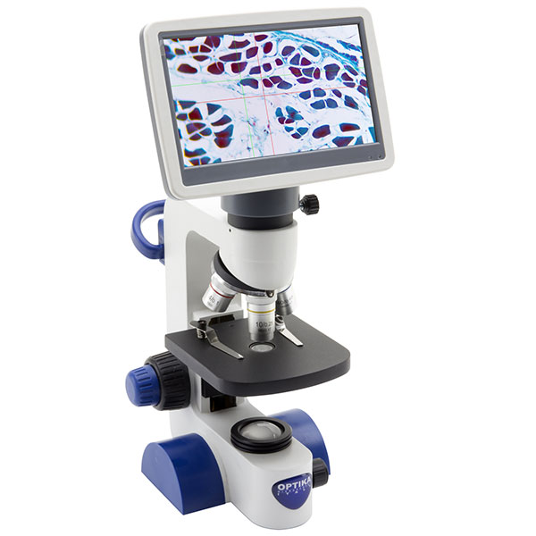 Kính hiển vi sinh học Optika B-61V