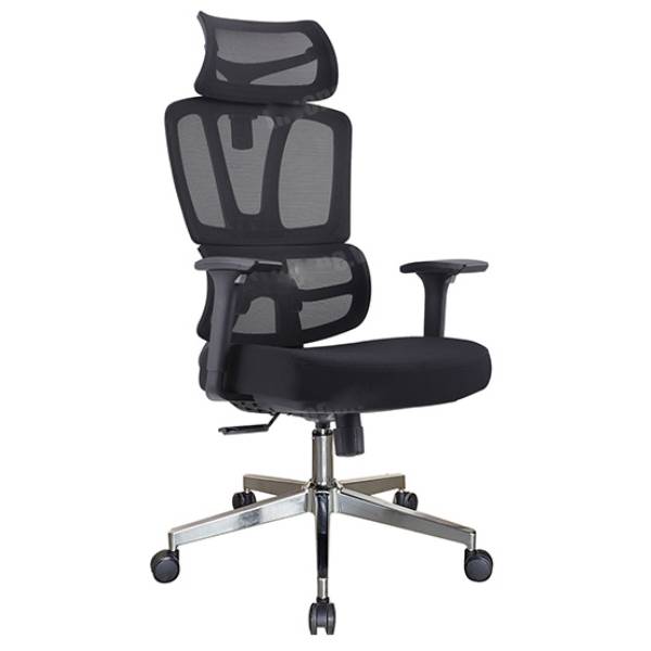 Ghế công thái học The One GLE01