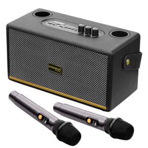 Loa Karaoke xách tay Nanomax K-06 bass đôi 10cm 60W
